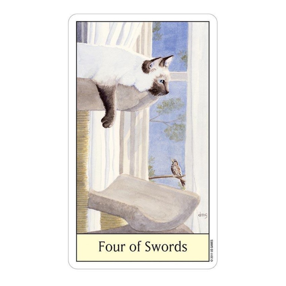Tarot Deck With Guidebook - Cats Eye Tarot 12x7 cm Card